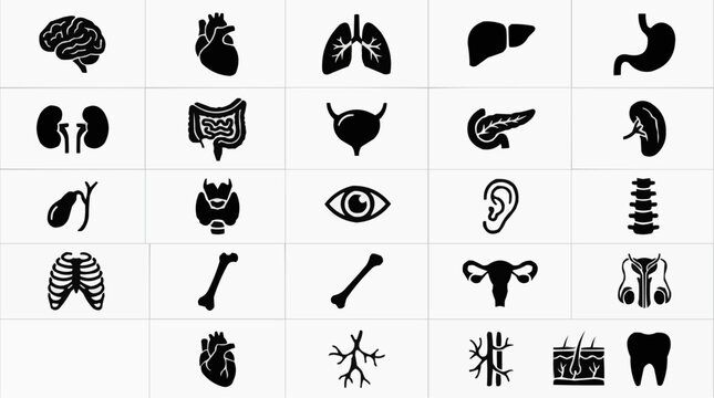 A collection of black silhouette icons depicting various human internal organs and body parts on a white background.