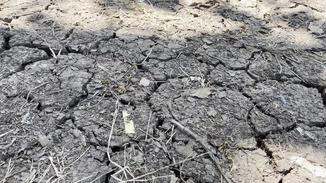 Cracked dry earth soil texture during global warming drought