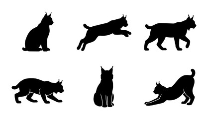 Lynx Silhouettes Collection: Wild Cat Poses, Vector Graphics for Wildlife Design © Arif