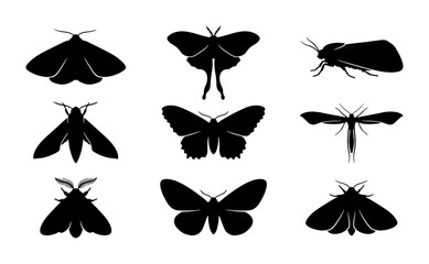 Black Moth Silhouettes Collection, Insect Vector Icons, Nocturnal Lepidoptera Graphics, Nature Elements © Arif