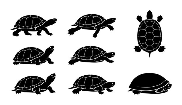 Set of 7 Black Turtle Icons, Reptile Vector Graphics, Aquatic Animal Silhouettes for Nature Designs