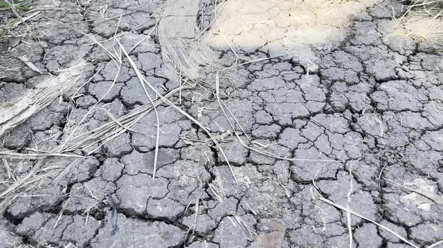 Dry cracked earth soil texture background from global warming