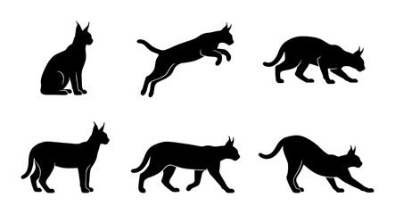 Black Cat Silhouettes, Feline Poses Vector Set, Elegant Animal Graphics © Jahangir