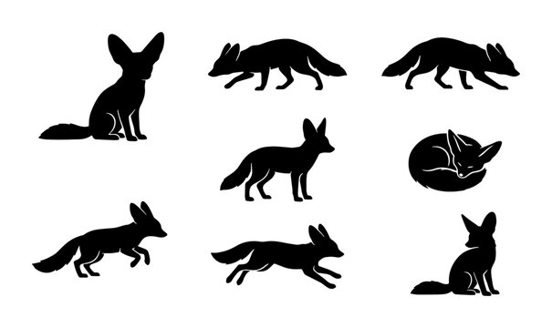 Fennec Fox Silhouettes Set, Desert Animal Vector Icons, Wildlife Collection