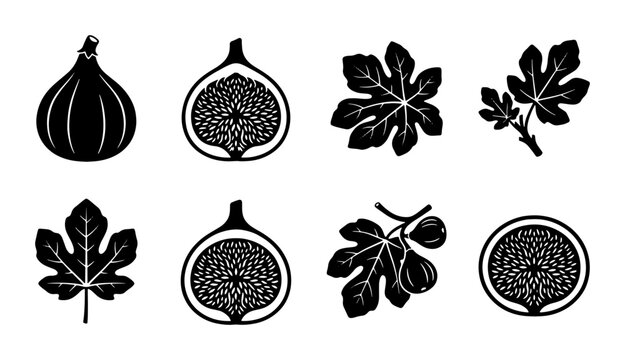 Fig Fruit Icons, Fresh Figs, Fig Leaves, Botanical Vector Set, Healthy Food Graphics