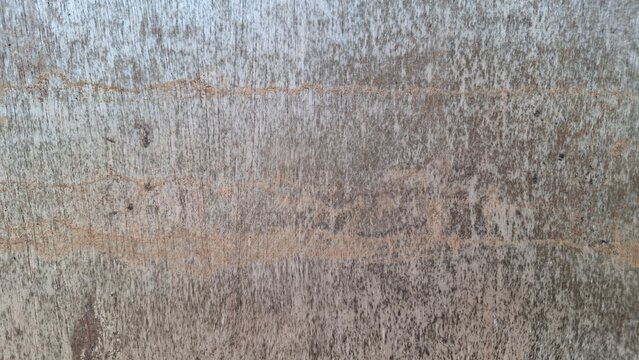 Weathered Plywood Texture with Termite Damage Trails