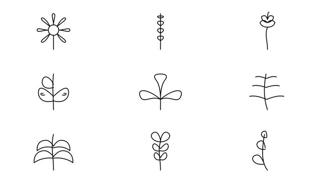 Soothing wellness tea leaves elegant line art botanical floral icon set chamomile lavender jasmine clean hand drawn minimalist outline set for cosmetic branding logo and wedding design