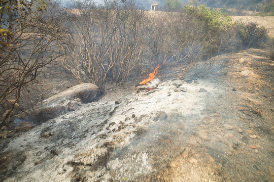 Flames smolder in a burnt and ashen landscape
