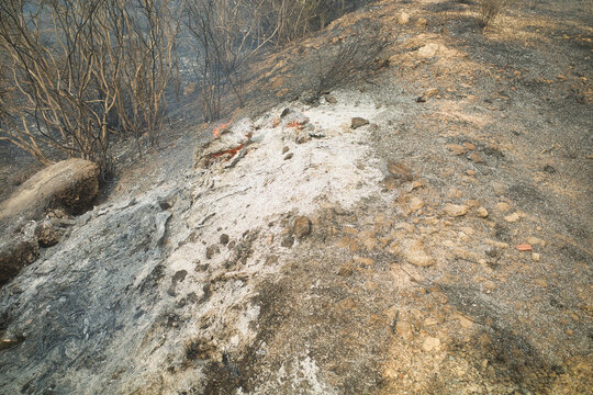 Smoldering embers and ash on a burnt hillside