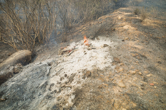 Smoldering embers burn on a scorched hillside