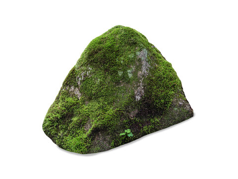 Mossy rock isolated on white background green moss on stone