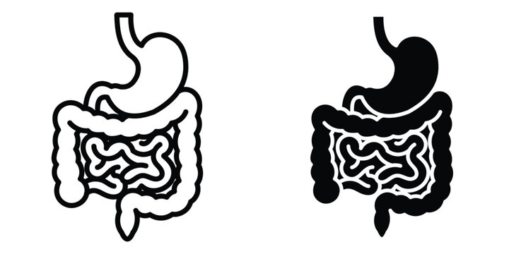 Digestion icon set in outlined drawings with flat version.