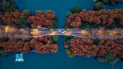 Aerial Night View of a country Bridge with Car Light Trails Crossing an Autumn Forest River Landscape © Lihui
