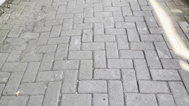 Classic Concrete Paving Blocks Walkway with Herringbone Pattern
