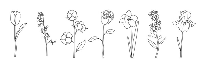 Set of seven minimalist line drawings of flowers including tulip, lily of the valley, cotton, rose, daffodil, lilac, and iris, clean botanical outlines for decorative art or design © Lipitorika