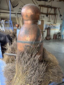 distillation de la lavande en provence, France