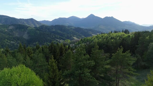 Aerial Hyperlapse Flying Forward Over Spring Forest Treetops Toward Carpathian Mountain Panorama at Sunset