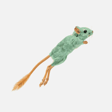 Cute green jumping mouse or jerboa leaping midair with long tail and legs.