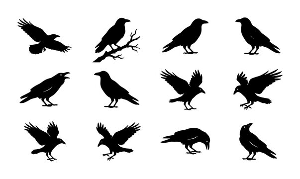 Crow Silhouettes Collection, Black Bird Vector Icons, Gothic Animal Graphics, Mysterious Avian Poses