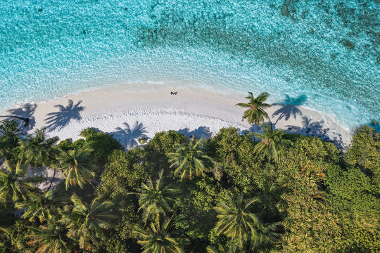 Aerial view of a pristine white sand beach with palm trees and turquoise water in Kudahuvadhoo, Dhaalu Atoll, Maldives.