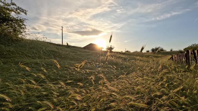 Golden Hour Sunrise Timelapse over Dewy Meadow Near Garvanitsa Cave, Bulgaria