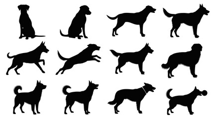 Fototapeta premium Dogs in Various Poses Silhouettes.