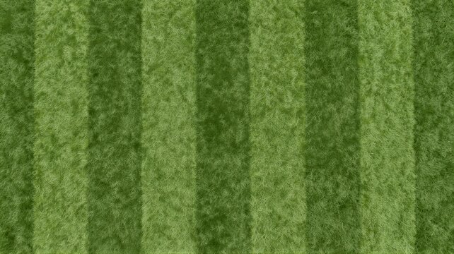 Aerial view of striped green football pitch with close cropped grass texture