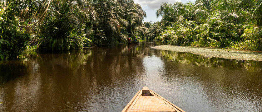 Calm Tropical River Surrounded by Dense Green Vegetation