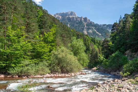 El r&iacute;o Aragon Subord&aacute;n a su paso por el Valle de Hecho, en el Parque Natural de Los Valles Occidentales, Pirineo Aragones, Huesca, Aragon, Espa&ntilde;a 
