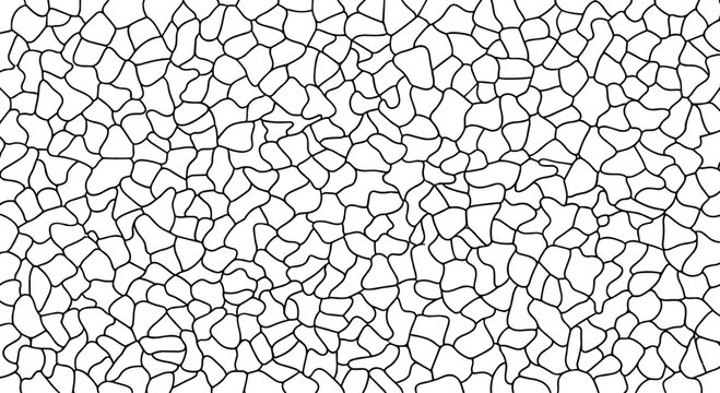 Organic voronoi pattern background, abstract cellular mosaic texture vector, black and white irregular geometric mesh for modern graphic design