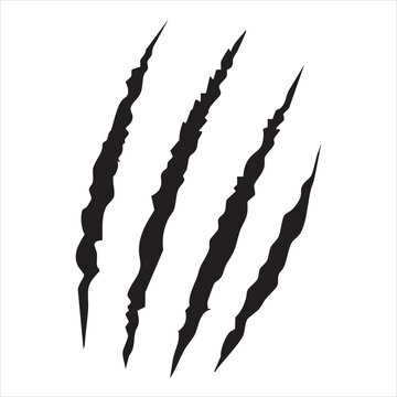  Animal silhouette claw paw marks, tiger, dog, lion, monster, scratches, talons cuts cat, tiger, isolated on transparent background.