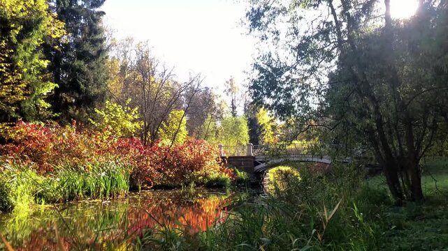 Small Lamsky Bridge over the Kuzminka River in Alexander Park on a sunny autumn day surrounded by colorful foliage. Tsarskoye Selo, Pushkin, Saint Petersburg, Russia. 4K 60fps footage
