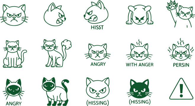 Collection of angry cat cartoon icons with different emotions and expressions, vector graphics.