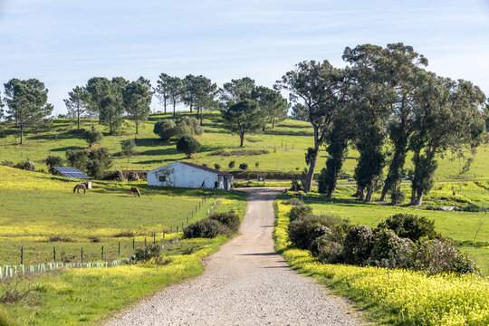 Rural farmhouse and countryside path in quinta do pis&atilde;o cascais portugal