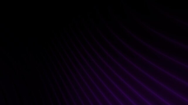 Abstract purple glowing light lines animation moving in dynamic loop creating modern rhythmic pattern with dark background, seamless futuristic digital waves motion graphics design.