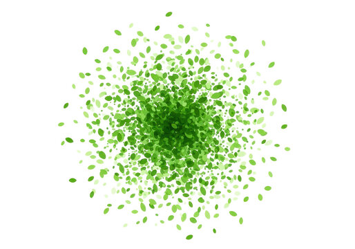 Abstract burst of vibrant green leaves and particles, natural effect, nature concept, confetti, celebration, isolated on transparent background.