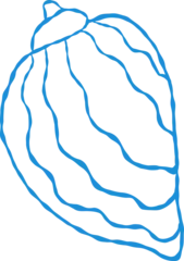 Vertical spiral conch seashell outline doodle hand drawn © Small Smiles_dimple
