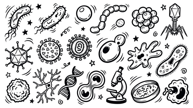 Diverse hand-drawn black and white microbiology elements, including bacteria, viruses, cells, and a microscope, scattered on a clean white background