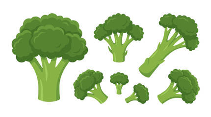 Set of broccoli heads and florets in different shapes vector © Mark