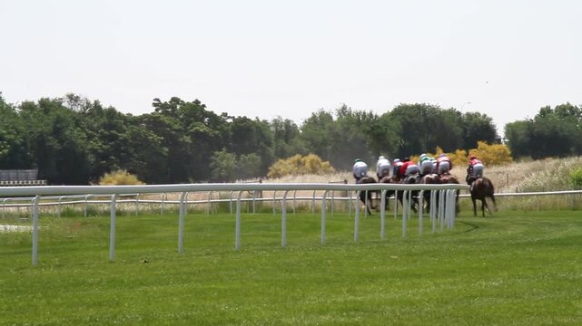 Emoci&oacute;n Turf en hip&oacute;dromo con caballos galope y jockey velocidad h&iacute;pica en pista de hierba equino pura sangre ingl&eacute;s galopando racecourse horse galop
