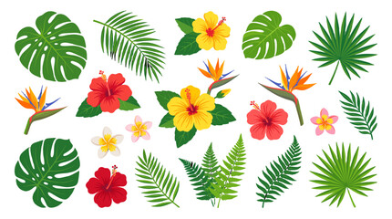 Tropical leaves and flowers collection isolated on white © Mark