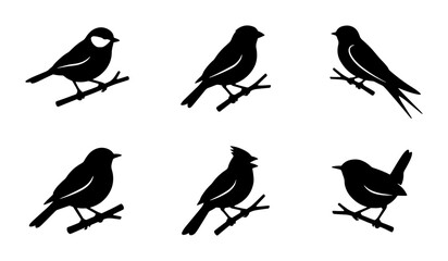 Bird Silhouettes Vector Set: Avian Icons for Nature, Wildlife, and Ornithology Designs © Zarin