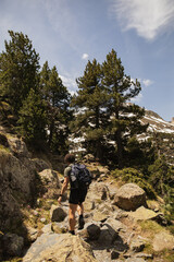 Fototapeta premium Male hiker with backpack walking along a rocky mountain trail surrounded by pine trees and alpine vegetation in the Spanish Pyrenees. Adventure travel, hiking and outdoor recreation 