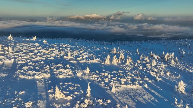 Aerial pull back from snow covered trees on Pilsko peak with distant Babia Gora at sunset