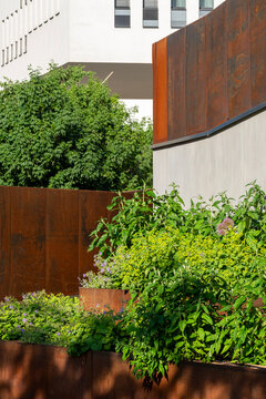 Urban garden plants rise below a rust wall in a modern outdoor landscape, where architecture and building surfaces meet dense greenery