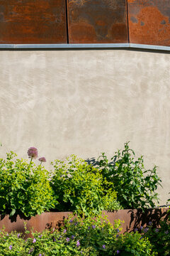 A rust wall above garden plants creates a modern urban landscape, where architecture is reduced to texture, light and a quiet outdoor detail