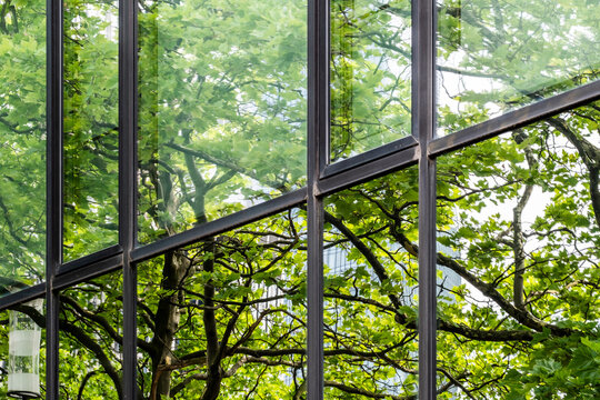 Through a modern window, green trees fill the frame with reflection and layered nature, adding an urban detail to the building architecture