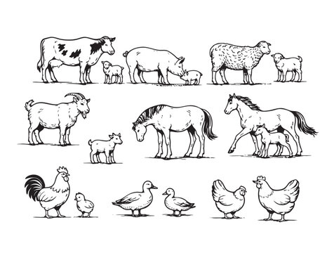 Collection of farm animals with babies in minimalist vintage line art style. Set includes cow with calf, pig with piglet, sheep with lamb, goat with kid, horse with foal, rooster with chick, ducks
