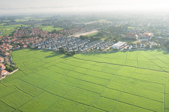 Aerial drone view of expansive green rice fields bordering suburban residential development. Panoramic landscape highlights agricultural land, housing estate, community growth, and land use transition