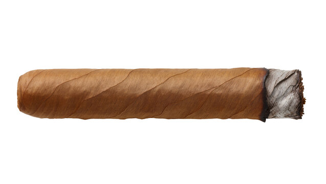 Brown tobacco cigar with ash end, isolated on transparent background